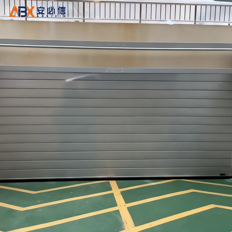 厦门洁净室高速门